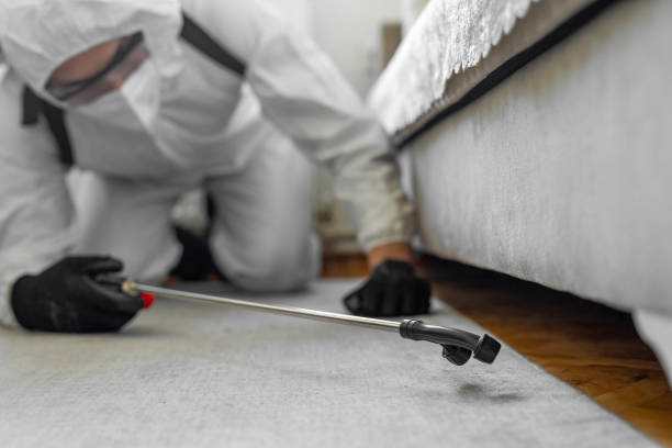 Professional Bed Bug Control technician working in Marlboro County County, SC